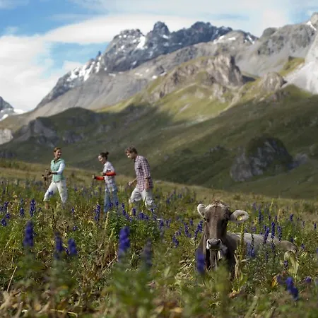 Bed & Breakfast Alp Larain