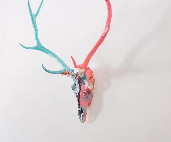 Alp Larain ベッド・アンド・ブレックファスト イシュグル