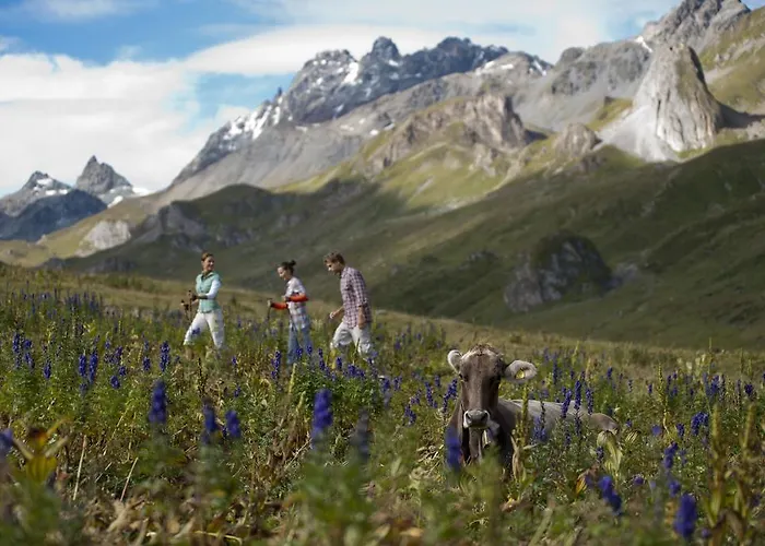 ベッド・アンド・ブレックファスト Alp Larain